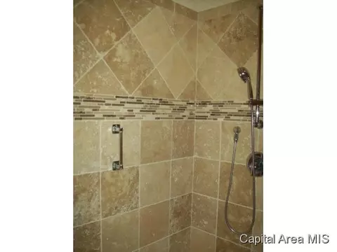 2317 Silver Stone Ct, Springfield, IL 62704 photo 15