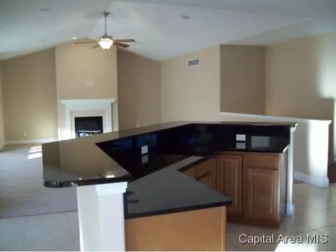 2317 Silver Stone Ct, Springfield, IL 62704 photo 9