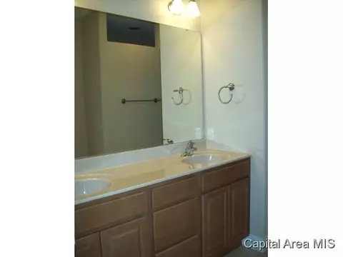 2317 Silver Stone Ct, Springfield, IL 62704 photo 14