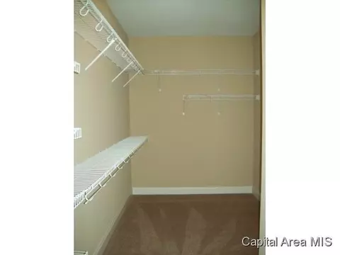 2317 Silver Stone Ct, Springfield, IL 62704 photo 13