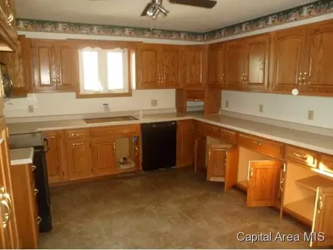 155 Lyons, Riverton, IL 62561 photo 5