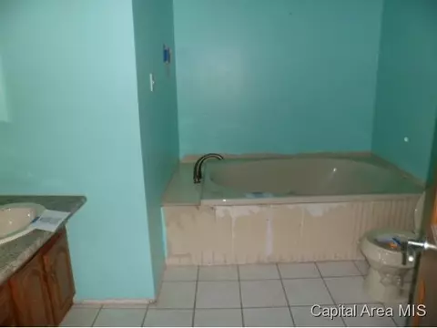 155 Lyons, Riverton, IL 62561 photo 12