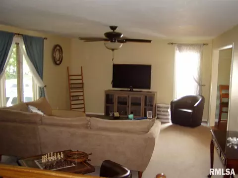 130 Lost Tree Dr, Springfield, IL 62704 photo 4