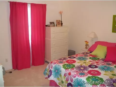 3204 Sequoia, Springfield, IL 62712 photo 13