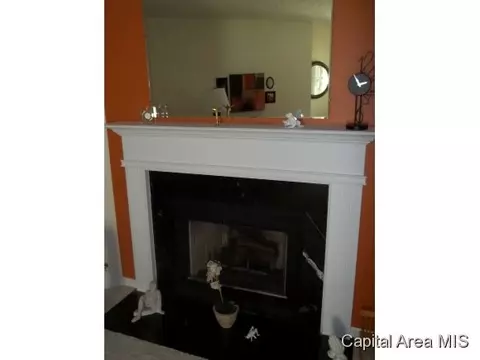 3204 Sequoia, Springfield, IL 62712 photo 3