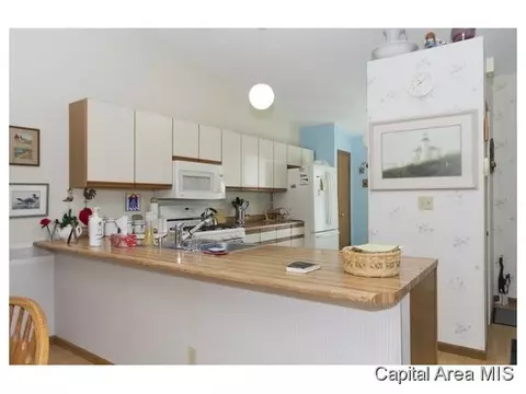 123 Agustus Ln, Springfield, IL 62703 photo 10