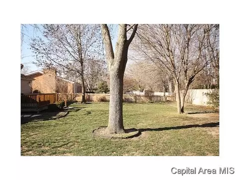 2513 Cherry, Springfield, IL 62704 photo 21