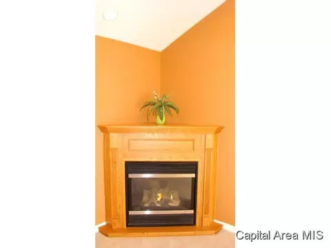 5213 Mountain Vw, Springfield, IL 62711 photo 8