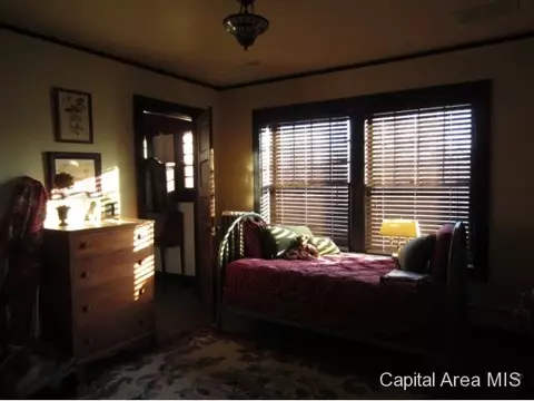 919 S 8th, Springfield, IL 62703 photo 13