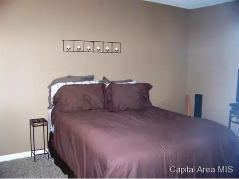 237 Bristol Dr, Springfield, IL 62702 photo 19