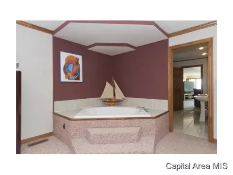 77 Linden Ln, Springfield, IL 62712 photo 13