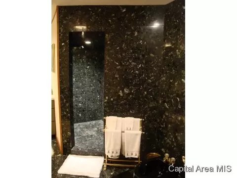 77 Linden Ln, Springfield, IL 62712 photo 16