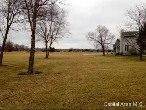 3229 Eagle Watch, Springfield, IL 62711 photo 23