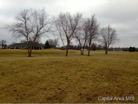 3229 Eagle Watch, Springfield, IL 62711 photo 2