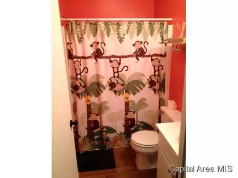 218 W Raylots, Spaulding, IL 62561 photo 18