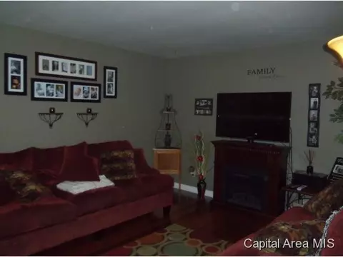 2428 Griffiths, Springfield, IL 62702 photo 11