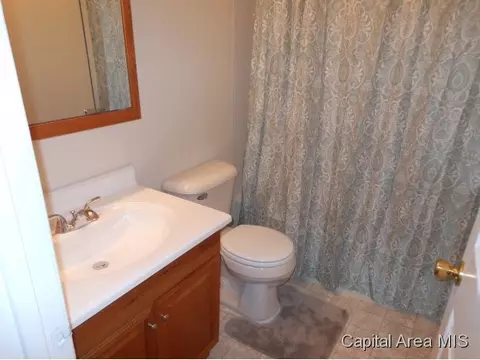 320 N Lincoln, Springfield, IL 62702 photo 16