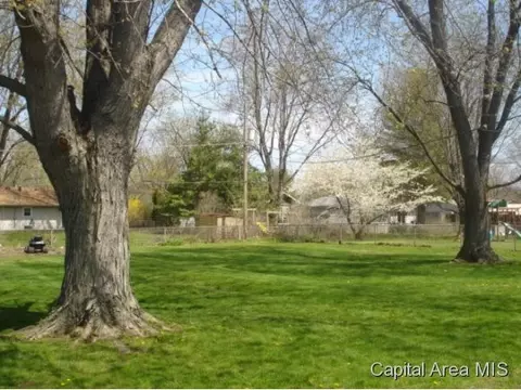 613 E Walnut, Chatham, IL 62629 photo 21