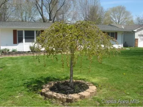 613 E Walnut, Chatham, IL 62629 photo 19