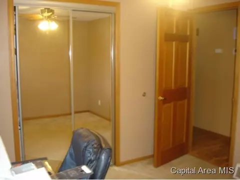 613 E Walnut, Chatham, IL 62629 photo 17