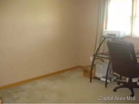 613 E Walnut, Chatham, IL 62629 photo 24