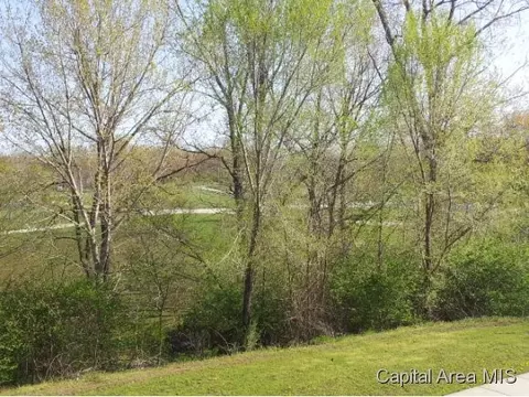 8090 Little Eagle Dr, Springfield, IL 62712 photo 6