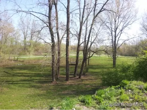 8090 Little Eagle Dr, Springfield, IL 62712 photo 22