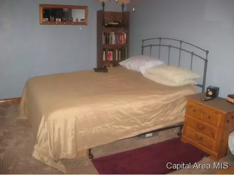 1620 N 20th, Springfield, IL 62702 photo 16