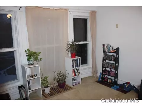 1017 N 1st, Springfield, IL 62702 photo 9