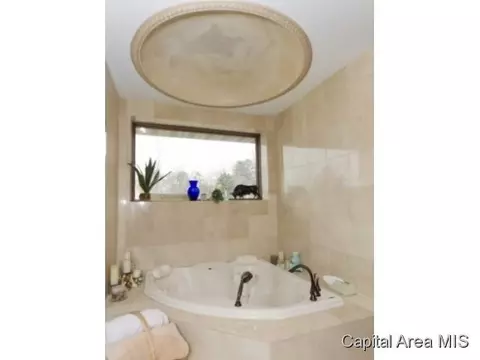 824 E Lake Shore Dr, Springfield, IL 62712 photo 13