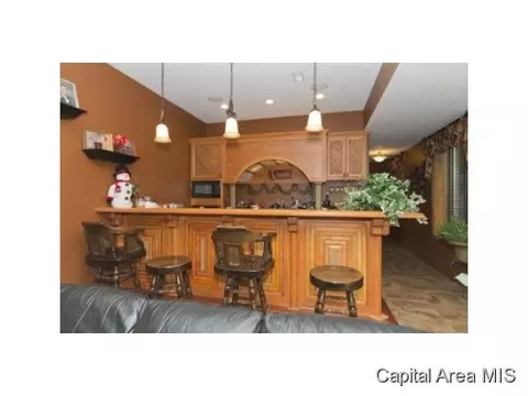 824 E Lake Shore Dr, Springfield, IL 62712 photo 19