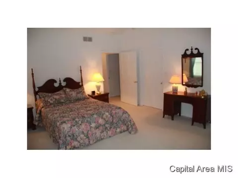 2 Chimney Vw, Springfield, IL 62707 photo 15