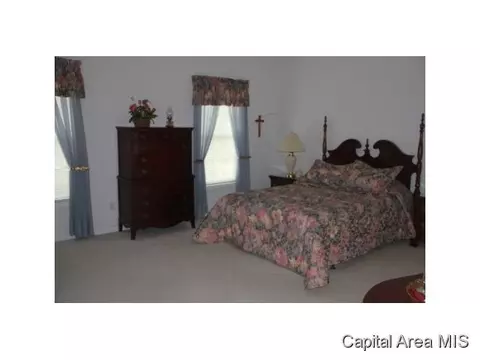 2 Chimney Vw, Springfield, IL 62707 photo 14