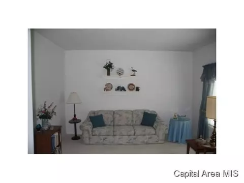 2 Chimney Vw, Springfield, IL 62707 photo 3