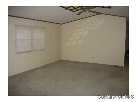 115 N Brady, Bluffs, IL 62621 photo 2