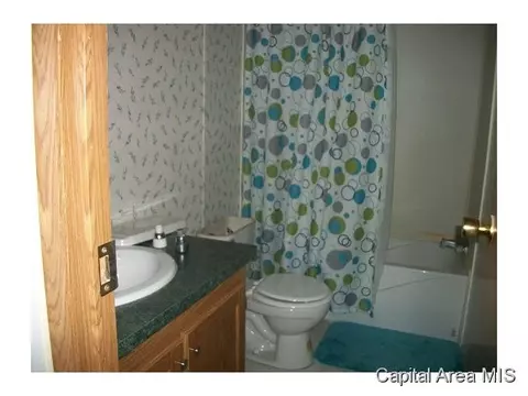 115 N Brady, Bluffs, IL 62621 photo 9