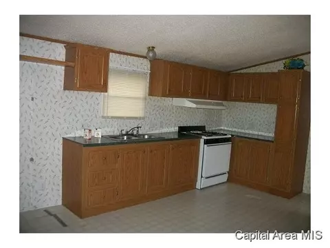 115 N Brady, Bluffs, IL 62621 photo 4