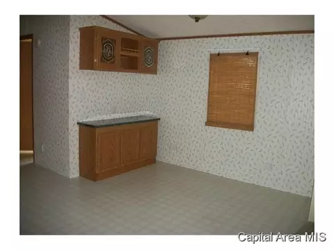 115 N Brady, Bluffs, IL 62621 photo 3