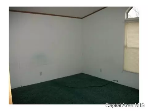 115 N Brady, Bluffs, IL 62621 photo 7