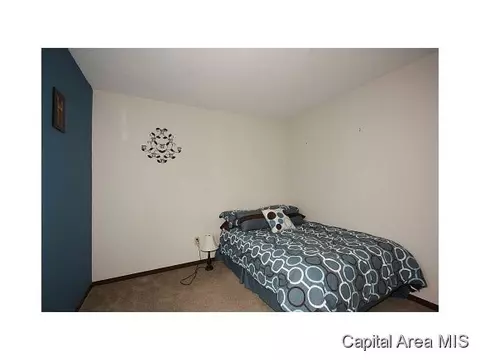 4608 Trevi, Springfield, IL 62703 photo 9