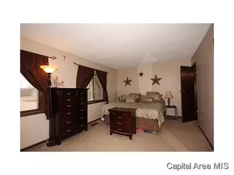 4608 Trevi, Springfield, IL 62703 photo 17