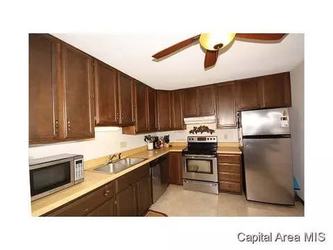 4608 Trevi, Springfield, IL 62703 photo 10