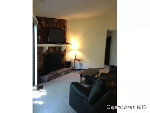 4608 Trevi, Springfield, IL 62703 photo 13