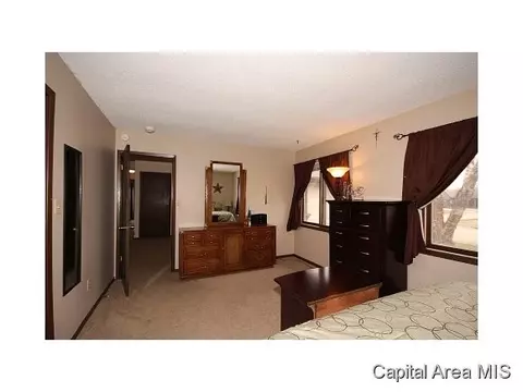 4608 Trevi, Springfield, IL 62703 photo 16