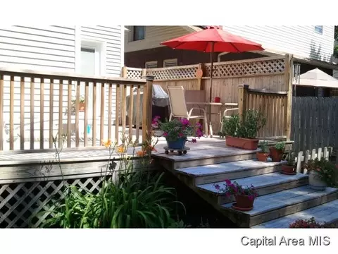 1825 S Pasfield Street St, Springfield, IL 62704 photo 22