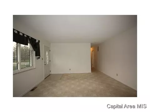20 Birch Dr, Chatham, IL 62629 photo 4