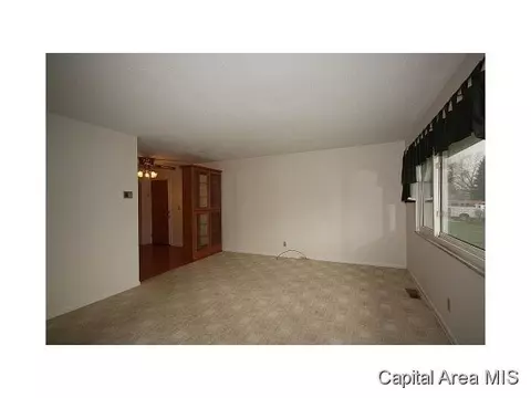20 Birch Dr, Chatham, IL 62629 photo 5