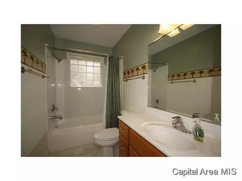 20 Birch Dr, Chatham, IL 62629 photo 19