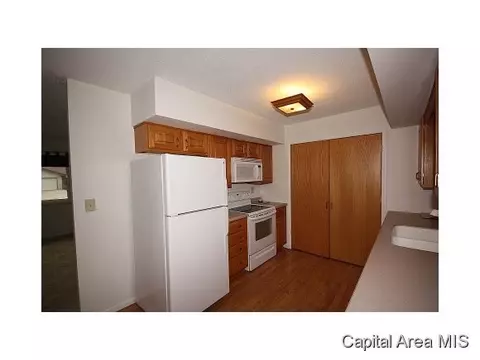20 Birch Dr, Chatham, IL 62629 photo 7