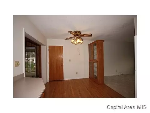 20 Birch Dr, Chatham, IL 62629 photo 10
